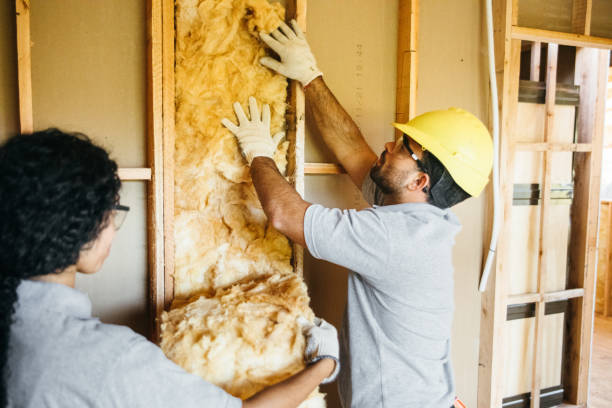 Best Garage Insulation Installation  in Vian, OK